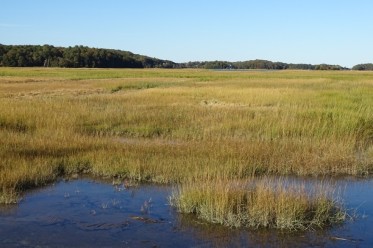 The Window on the Marsh as seen from Rte 128